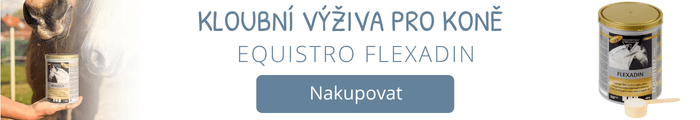 Flexadin pro koně