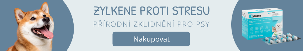Zylkene pro psy na uklidnění