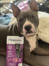 Flexadin recenze