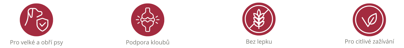 V&yacute;hody krmiva Best Choice