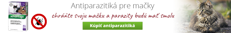 Antiparazitiká pre mačky 