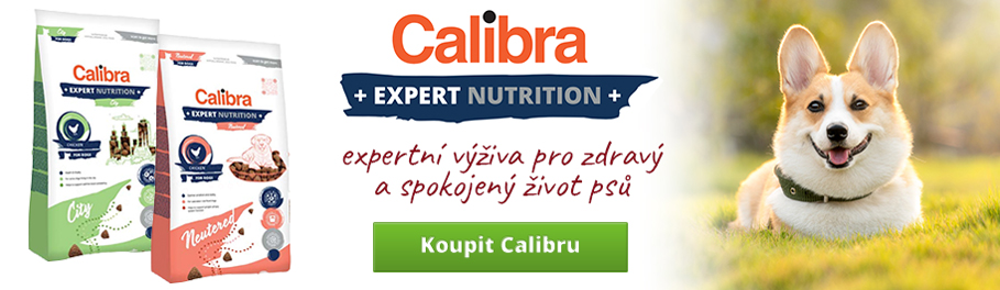 calibra-expert.jpg