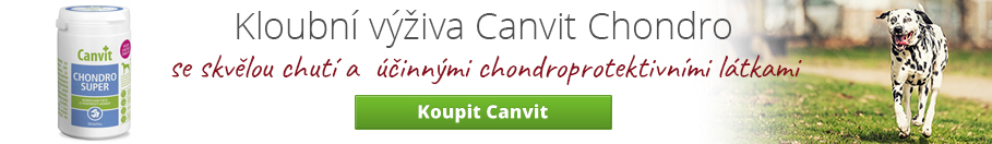 Canvit Chondro