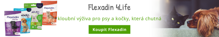 flexadin%204life.png