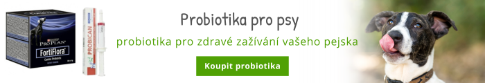 probiotikapropsy.png