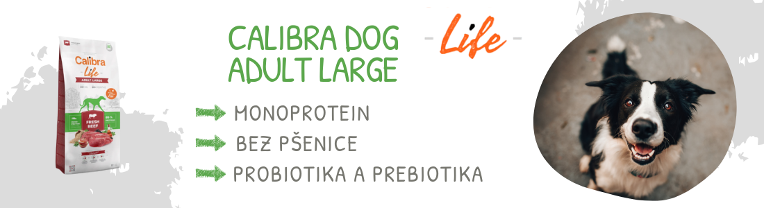 Calibra dog adult large 12kg