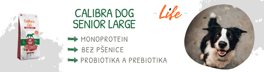 Calibra dog Senior Large 12kg