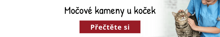 Močové kameny u koček