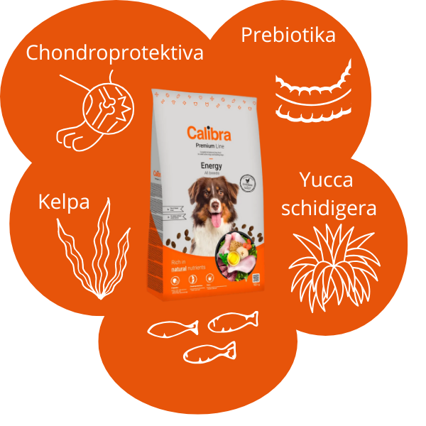 Granule pro aktivn&iacute; psy