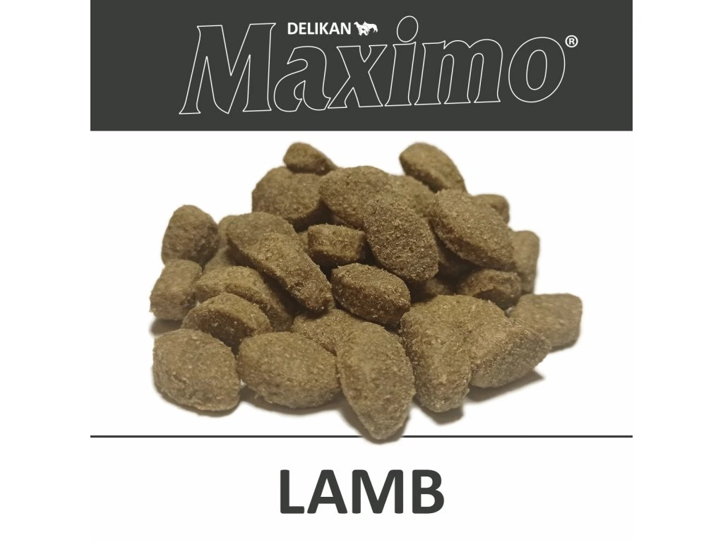 Delikan Maximo Lamb