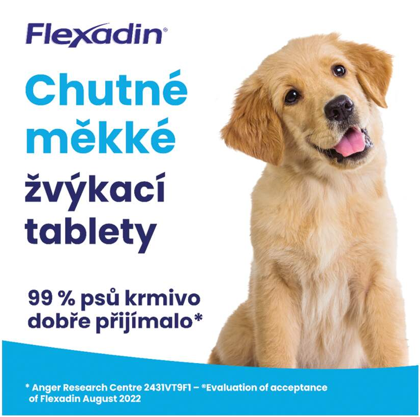 Flexadin chutné měkké žvýkací tablety