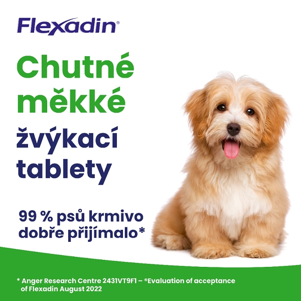 Flexadin Young Dog Mini žvýkací