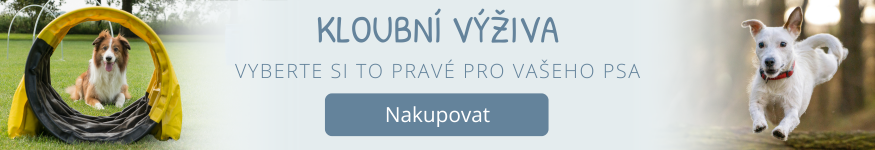 Kloubní výživa pro psy