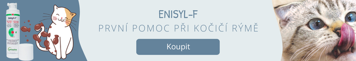 Enisyl-F proti kočičí rýmě u koček
