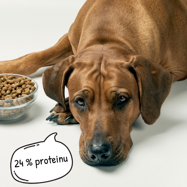 Marp Holistic protein