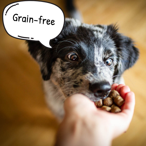 Marp Holistic GF Salmon 