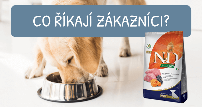 Jehněčí granule N&D GF Pumpkin DOG Puppy Mini Lamb & Blueberry recenze