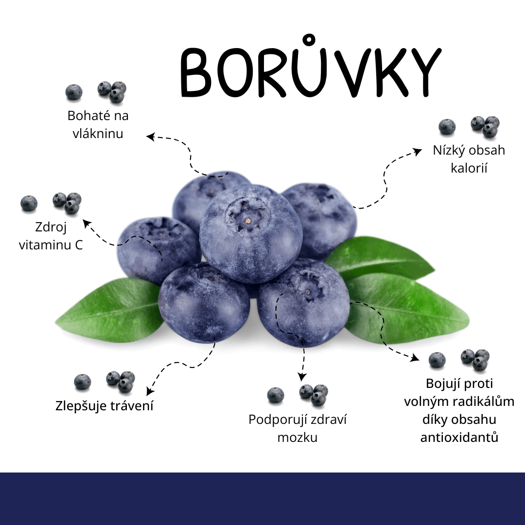 Borůvky a jejich vliv na organismus