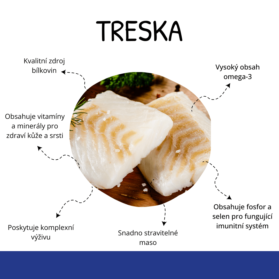 N&D OCEAN DOG GF Adult M/L Codfish&Pumpkin&Orange