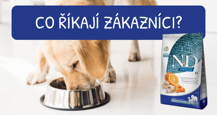 N&D OCEAN DOG GF Adult M/L Codfish&Pumpkin&Orange recenze