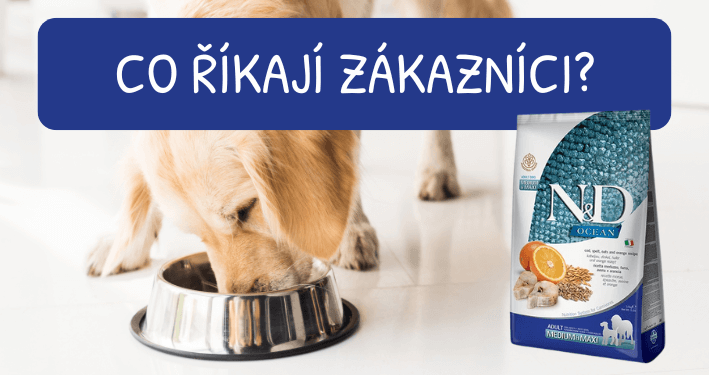 N&D OCEAN DOG LG Adult M/L Codfish&Orange recenze