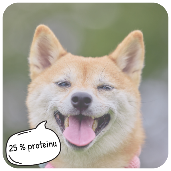 granule pro dospěl&eacute; psy