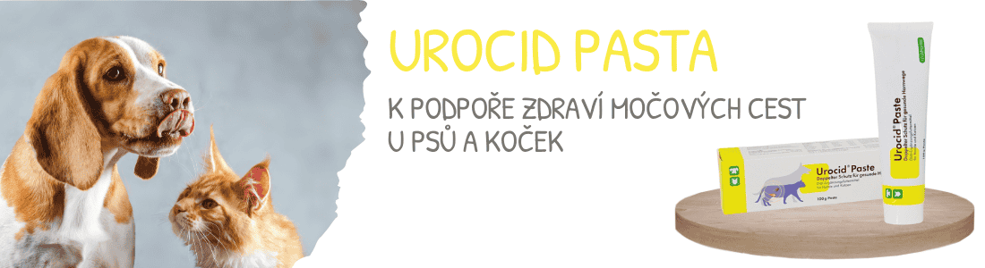 Urocid pasta 100g