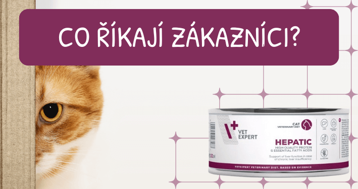 VetExpert VD 4T Hepatic Cat konzerva 100g recenze