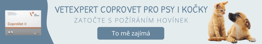 "VetExpert