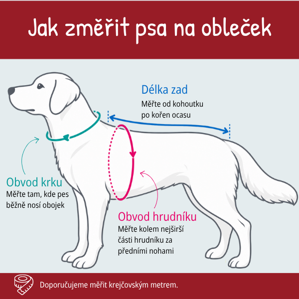 Jak změřit psa — délka zad, obvod krku a obvod hrudníku