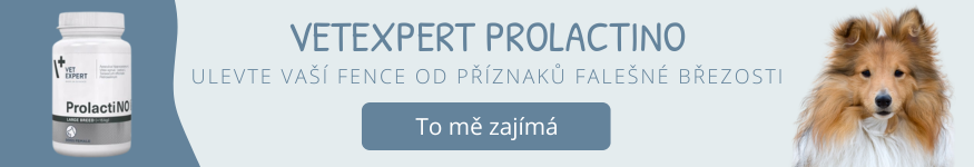 Prolactino doplněk stravy proti falešné březosti