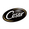 Cesar