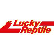 Lucky Reptile