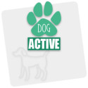 Active Dog