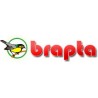 Brapta