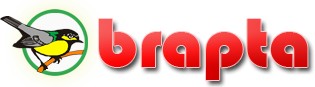 Brapta