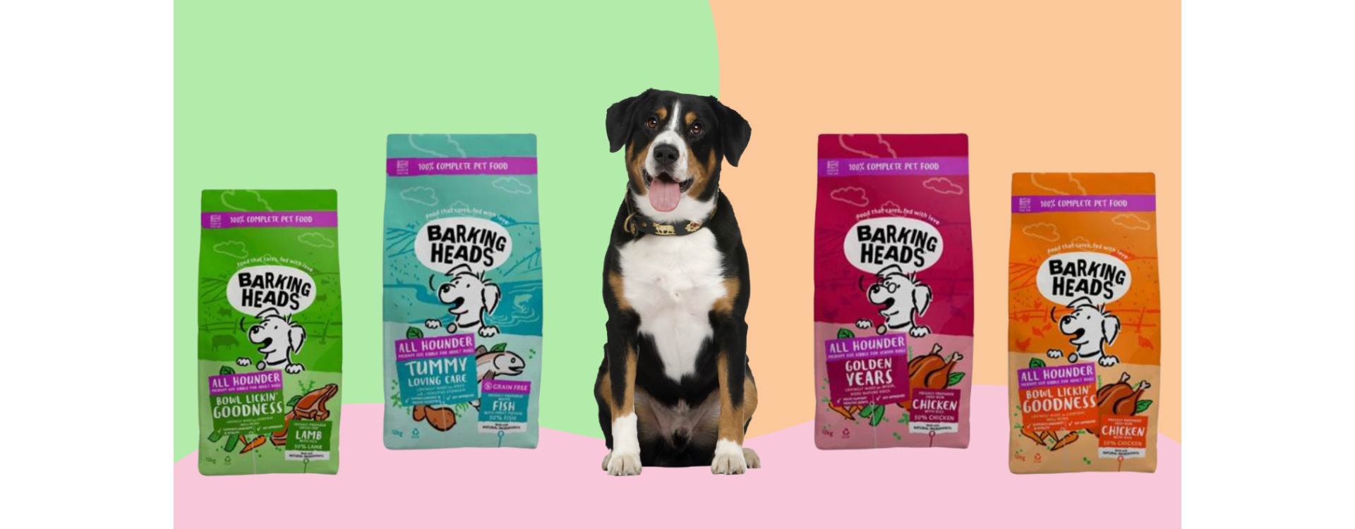 Jak vybrat krmivo Barking Heads? Jak vybrat krmivo Barking Heads?