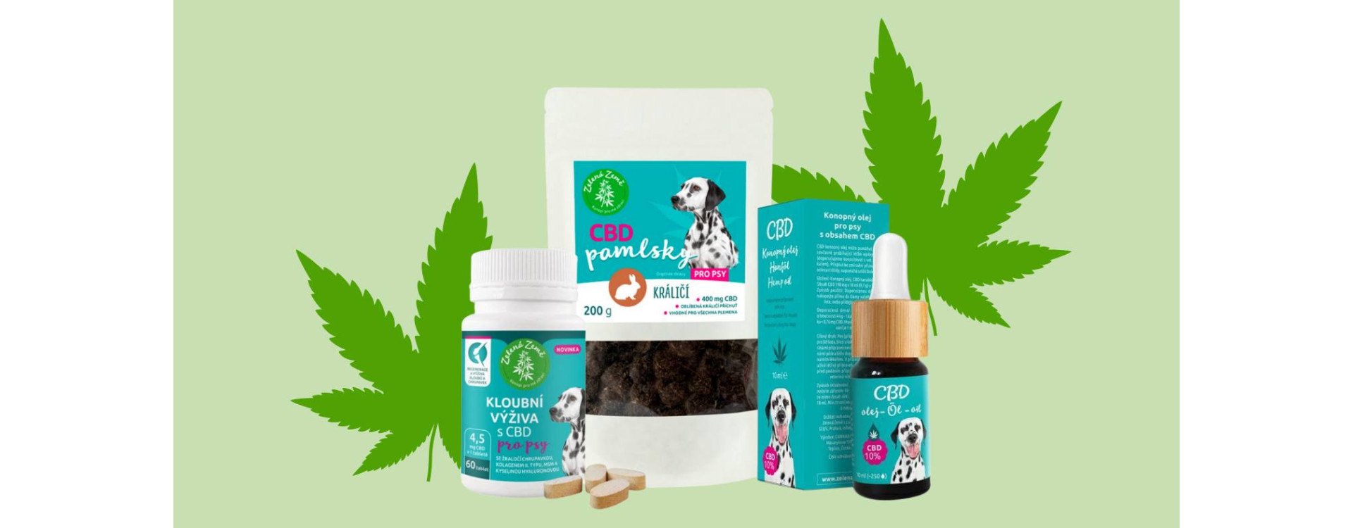 CBD pro psy: proč a jak ho používat CBD pro psy: proč a jak ho používat