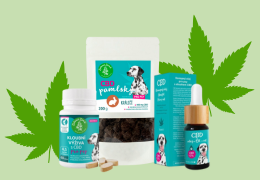 CBD pro psy: proč a jak ho používat
