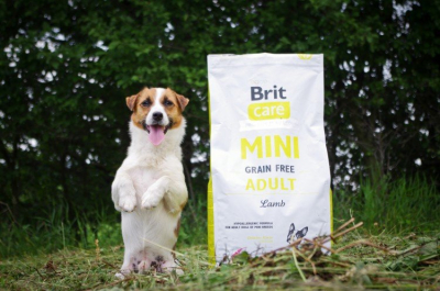 Testování Brit Care Mini: malí pejsci hodnotí