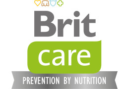 Jak vybrat: Krmivo Brit Care pro psy