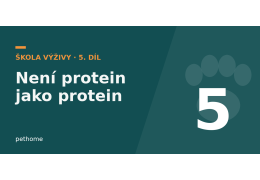 Není protein jako protein