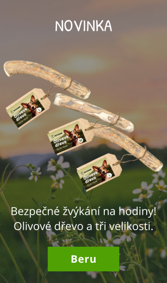 Olivové dřevo novinka