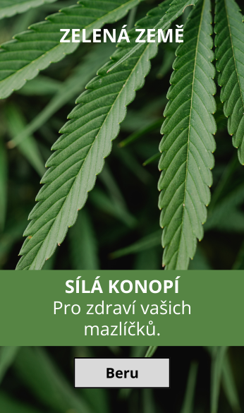 Zelená Země