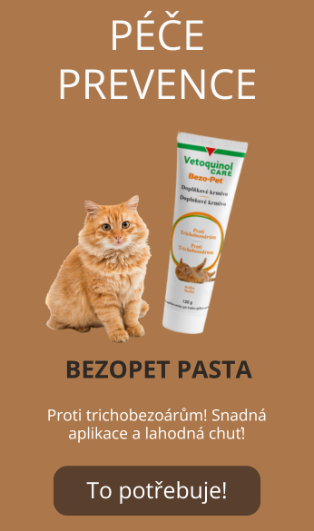 BEZOPET pasta