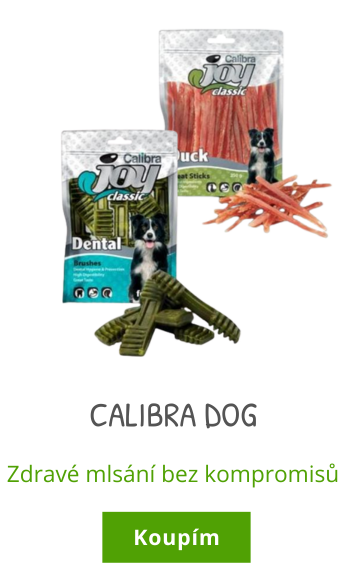 Calibra dog