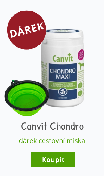 Canvit Chondro + miska