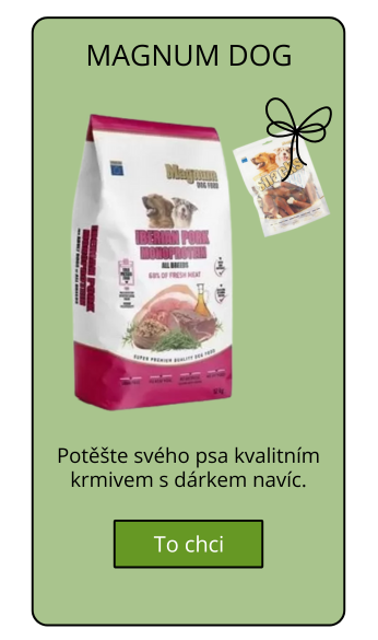 Magnum dog akce