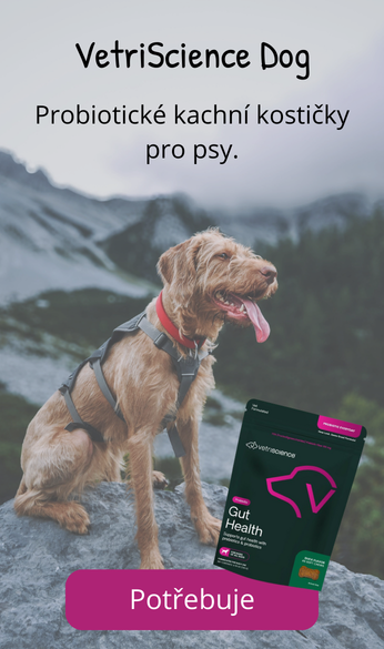 VetriScience probiotika dog
