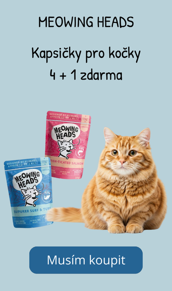 Meowing Heads cat akce